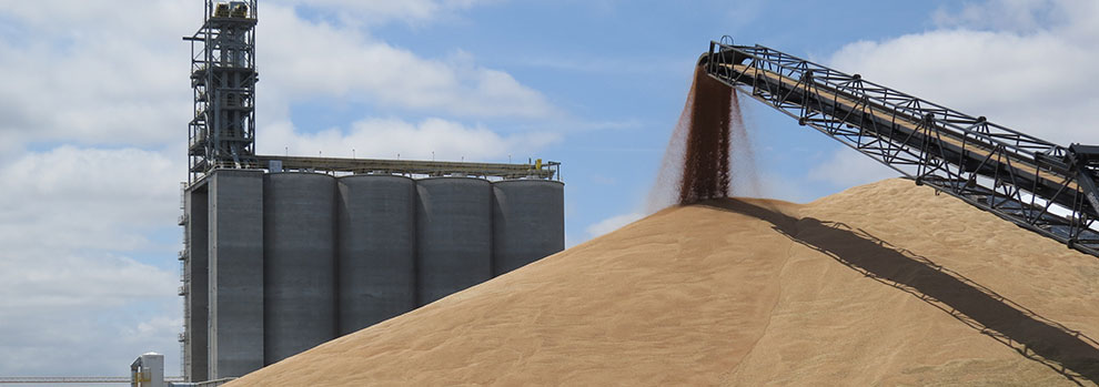 Levels of Automation in Grain Handling